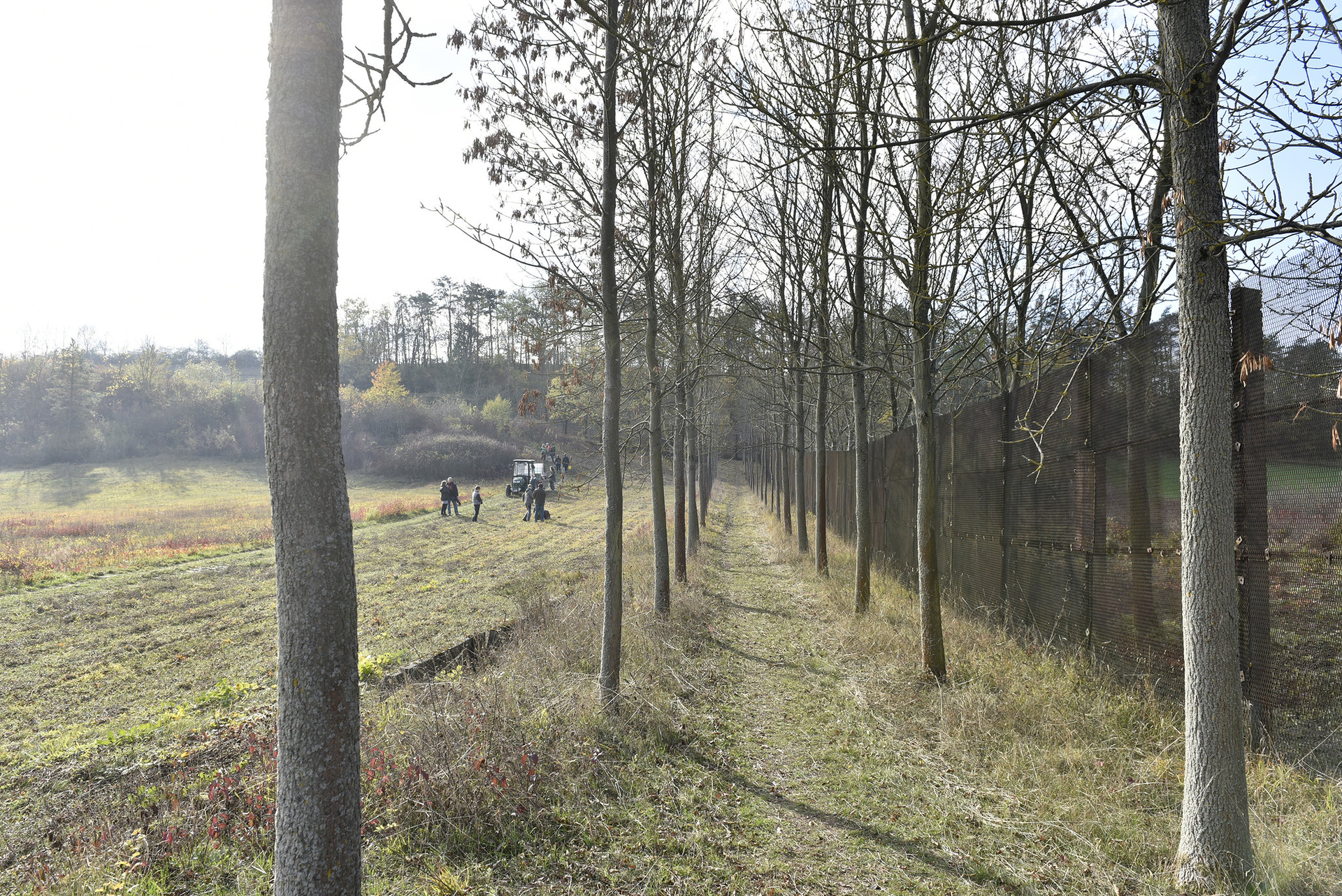Baumkreuz an der deutsch-deutschen Grenze mit Grenzzaun und Bäumen